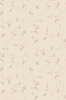 唯美朴素壁纸图片
