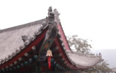 洛阳寺庙图片