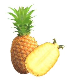 水果 菠萝图片
