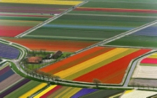 色彩缤纷的田野图片
