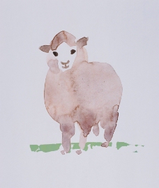 绘画羊图片