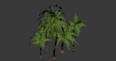 树木椰子树3d模型图片