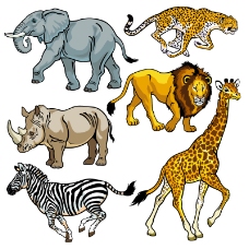 其他生物非洲野生动物设计矢量素材