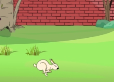 兔子跑运动规律
