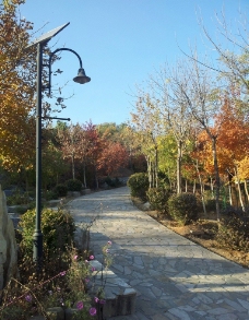 秋景图片