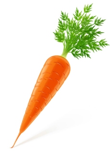 餐饮矢量实时上色胡萝卜蔬菜图片