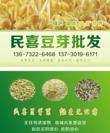 发芽绿色豆芽食品经销名片图片
