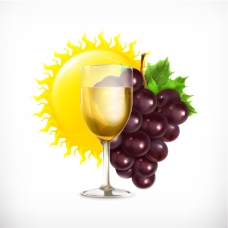 葡萄与葡萄酒设计