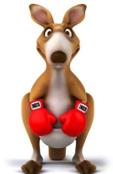 卡通袋鼠拳击手图片