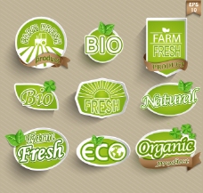 绿色叶子纯天然绿色食品商标设计