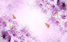紫色百合花背景墙