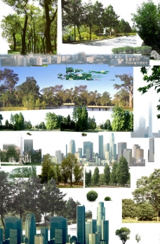 园林景观设计植物素材图集图片
