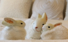 兔子 装饰 饰品图片