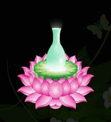 莲花 圣水瓶图片