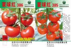 西红柿肥料