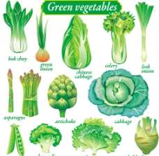 豌豆蔬菜矢量图图片