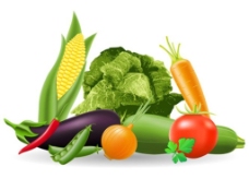 绿色蔬菜蔬菜矢量图图片