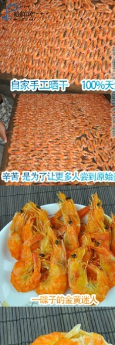 软壳虾干图片