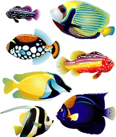 海水热带鱼图片