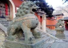 塔院寺石狮图片