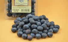 智利蓝莓图片