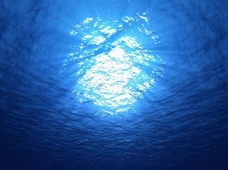 海底阳光标清视频素材