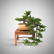 中式盆景素材3D模型素材