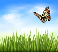 蝴蝶与草丛背景