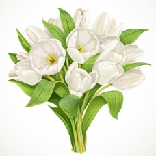 白色花白色郁金香花束