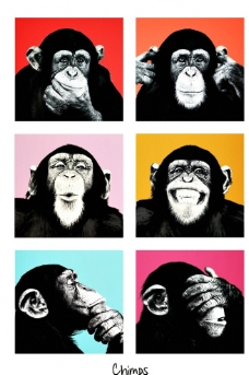 大猩猩海报挂画餐厅装饰画图片