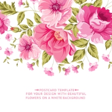 粉色花卉卡片矢量图.