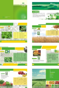 蔬菜产品画册