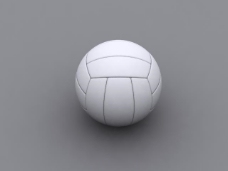 漂亮排球3d模型