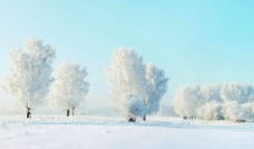 银装素裹的雪原景色图片