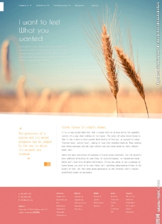 有机小麦农业网站模板图片