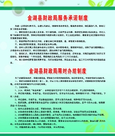 金湖县财政系统服务承诺制度图片
