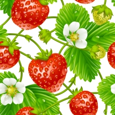 鲜花新鲜的草莓和草莓花矢量素材