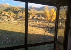 新疆白哈巴窗外秋色图片