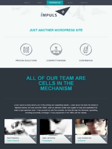 商业web设计公司图片