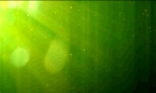 自然绿色的粒子光斑背景循环视频素材