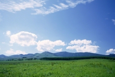 蓝天白云草地内蒙古草原图片