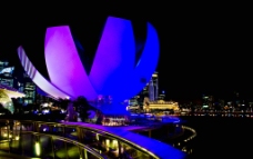 新加坡 夜景 一角图片