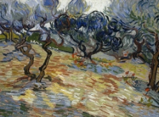 装饰名片橄榄树梵高名画油画装饰画图片