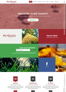 慈善机构网站模板图片